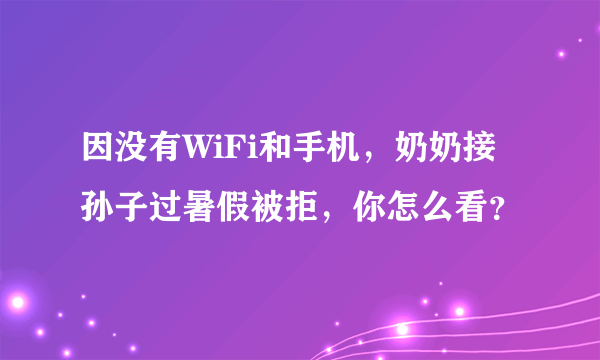 因没有WiFi和手机，奶奶接孙子过暑假被拒，你怎么看？