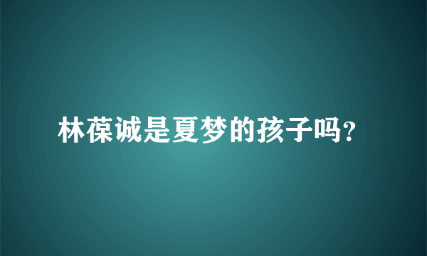 林葆诚是夏梦的孩子吗？