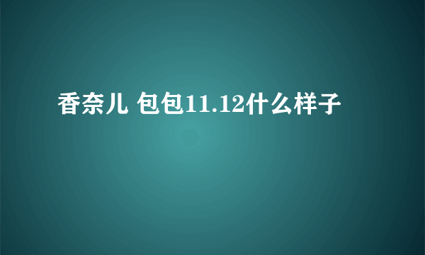 香奈儿 包包11.12什么样子