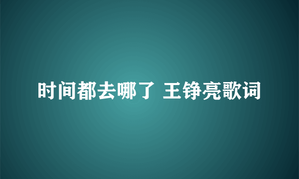 时间都去哪了 王铮亮歌词