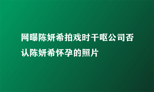 网曝陈妍希拍戏时干呕公司否认陈妍希怀孕的照片