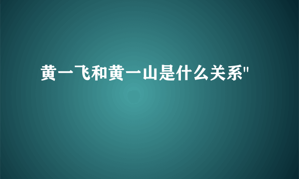 黄一飞和黄一山是什么关系