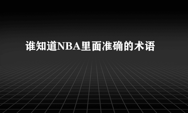 谁知道NBA里面准确的术语