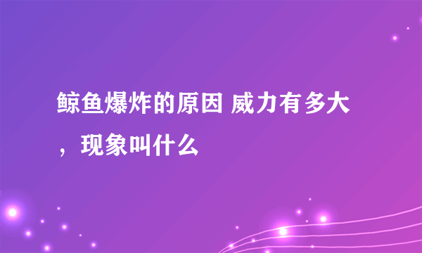 鲸鱼爆炸的原因 威力有多大，现象叫什么