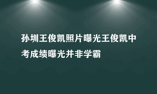 孙圳王俊凯照片曝光王俊凯中考成绩曝光并非学霸