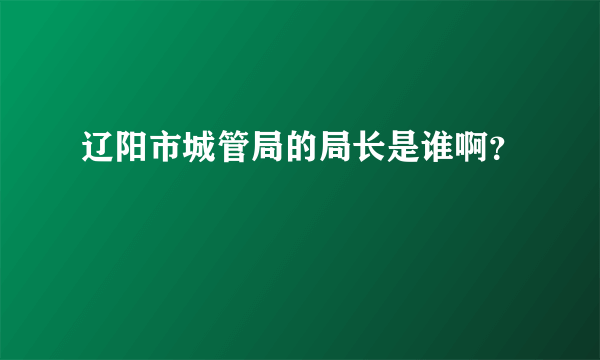 辽阳市城管局的局长是谁啊？