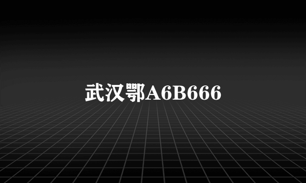 武汉鄂A6B666