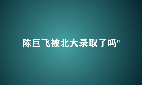 陈巨飞被北大录取了吗