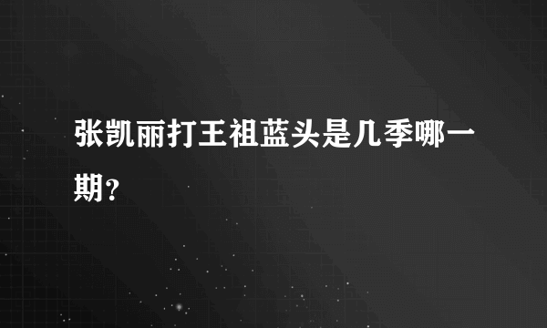 张凯丽打王祖蓝头是几季哪一期？