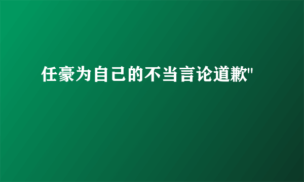 任豪为自己的不当言论道歉