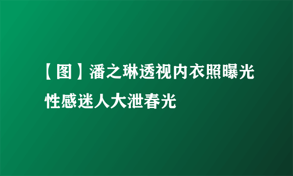 【图】潘之琳透视内衣照曝光 性感迷人大泄春光