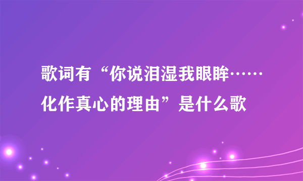 歌词有“你说泪湿我眼眸……化作真心的理由”是什么歌