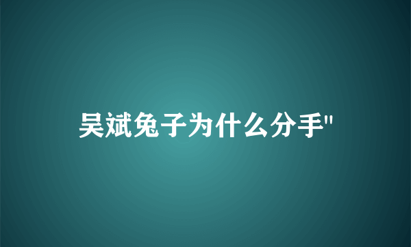 吴斌兔子为什么分手