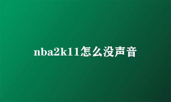 nba2k11怎么没声音