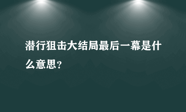 潜行狙击大结局最后一幕是什么意思？