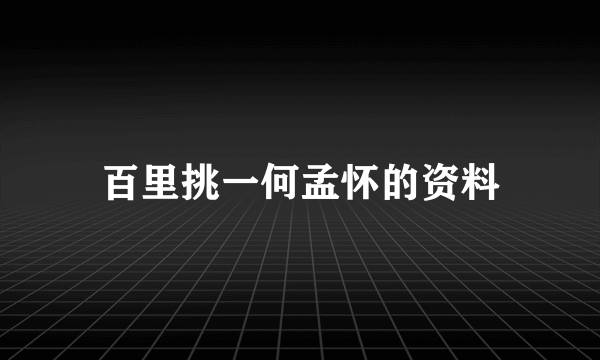 百里挑一何孟怀的资料