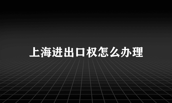 上海进出口权怎么办理