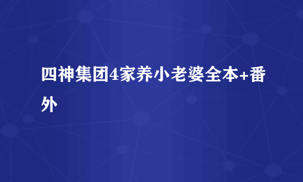 四神集团4家养小老婆全本+番外