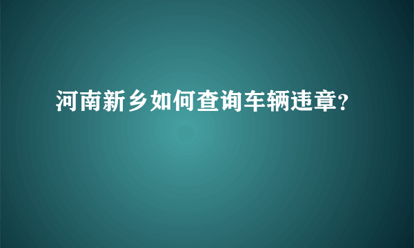 河南新乡如何查询车辆违章？