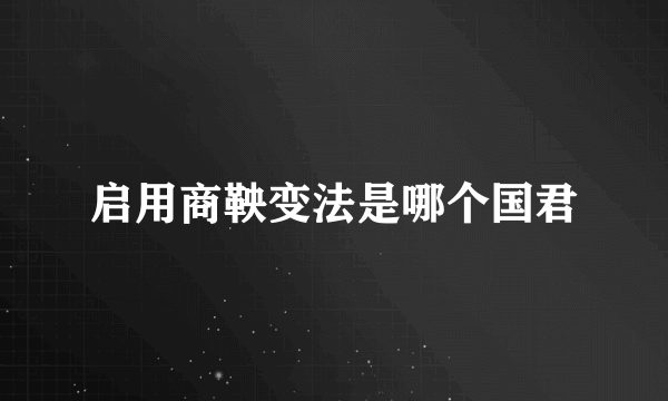 启用商鞅变法是哪个国君