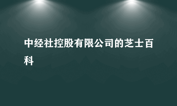 中经社控股有限公司的芝士百科