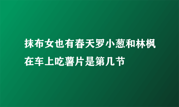 抹布女也有春天罗小葱和林枫在车上吃薯片是第几节