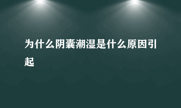 为什么阴囊潮湿是什么原因引起