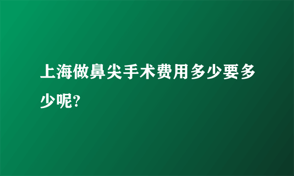 上海做鼻尖手术费用多少要多少呢?