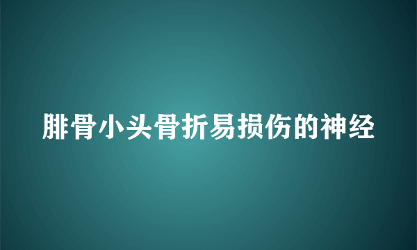 腓骨小头骨折易损伤的神经