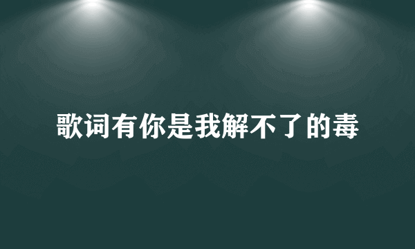 歌词有你是我解不了的毒