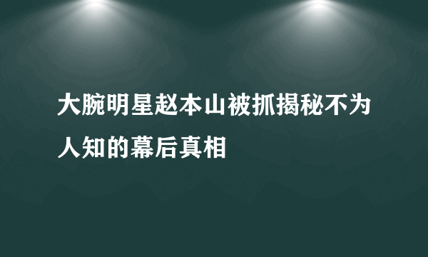 大腕明星赵本山被抓揭秘不为人知的幕后真相