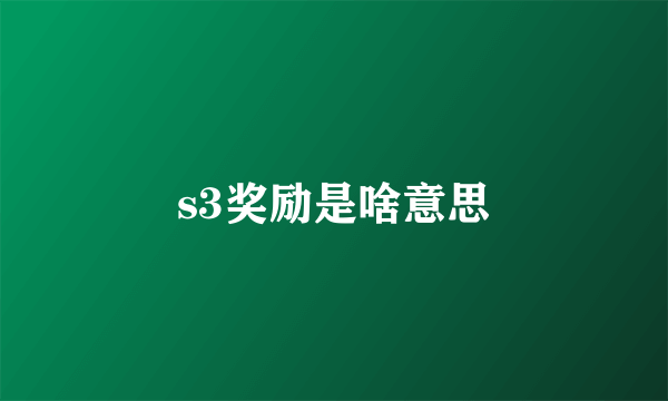 s3奖励是啥意思