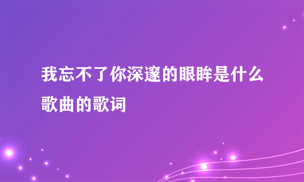 我忘不了你深邃的眼眸是什么歌曲的歌词