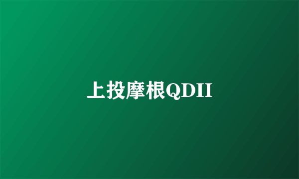 上投摩根QDII