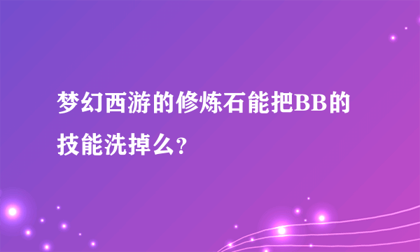 梦幻西游的修炼石能把BB的技能洗掉么？