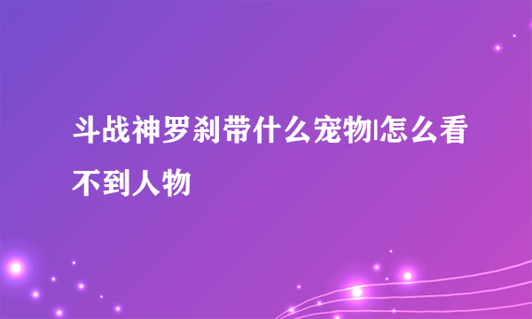 斗战神罗刹带什么宠物|怎么看不到人物