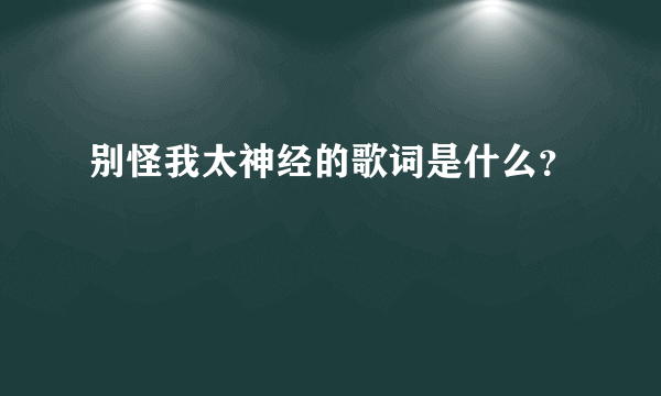 别怪我太神经的歌词是什么？