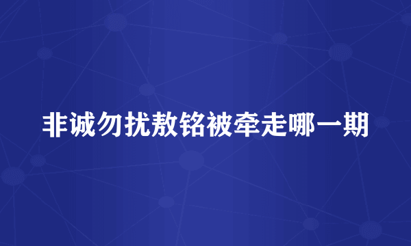 非诚勿扰敖铭被牵走哪一期