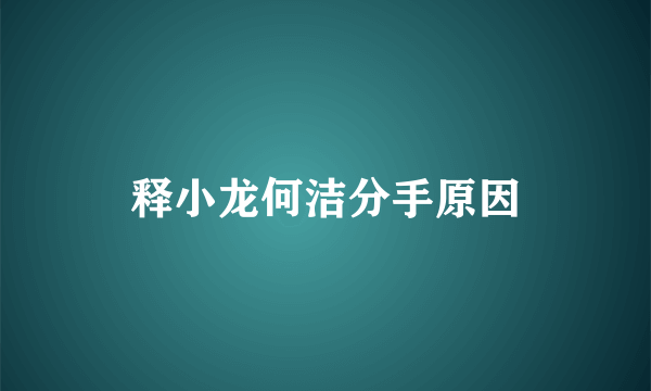 释小龙何洁分手原因