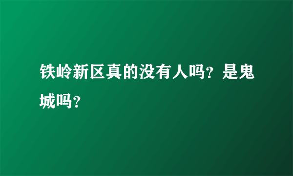 铁岭新区真的没有人吗？是鬼城吗？