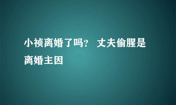 小祯离婚了吗？ 丈夫偷腥是离婚主因