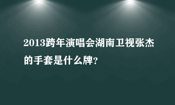 2013跨年演唱会湖南卫视张杰的手套是什么牌？