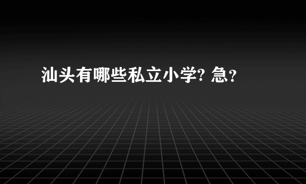 汕头有哪些私立小学? 急？