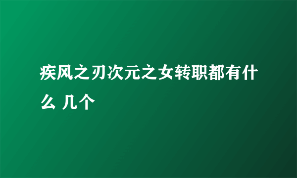 疾风之刃次元之女转职都有什么 几个