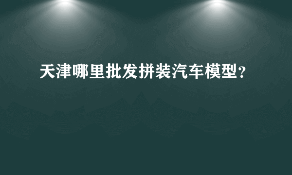 天津哪里批发拼装汽车模型？