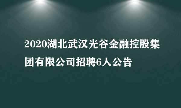 2020湖北武汉光谷金融控股集团有限公司招聘6人公告