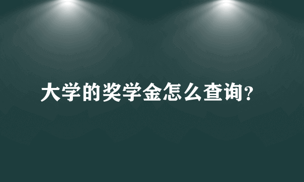 大学的奖学金怎么查询？