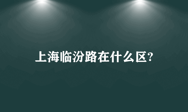 上海临汾路在什么区?