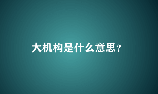 大机构是什么意思？