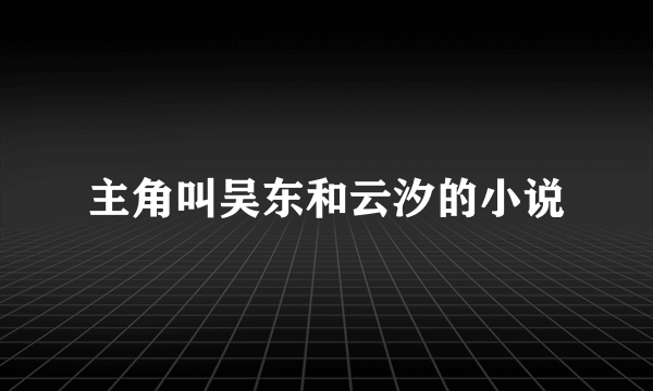 主角叫吴东和云汐的小说